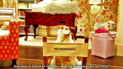 MA VIE DE CHAT - casting, interview et making-of - PAROLE DE CHAT-KmRip5elKeE