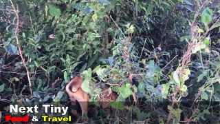 Wow! Amazing Brave Children Catch Big Snake By Bare Hand - How To Catch Python Snake In Cambodia