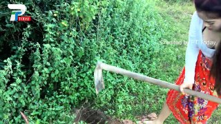 Amazing Beautiful Girl Catch water snake Using Deep Hole | How to Catch Water Snake in Cambodia #22