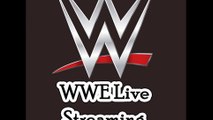 WWE Highlights - Brock Lesnar vs Bray Wyatt & Luke Harper part1