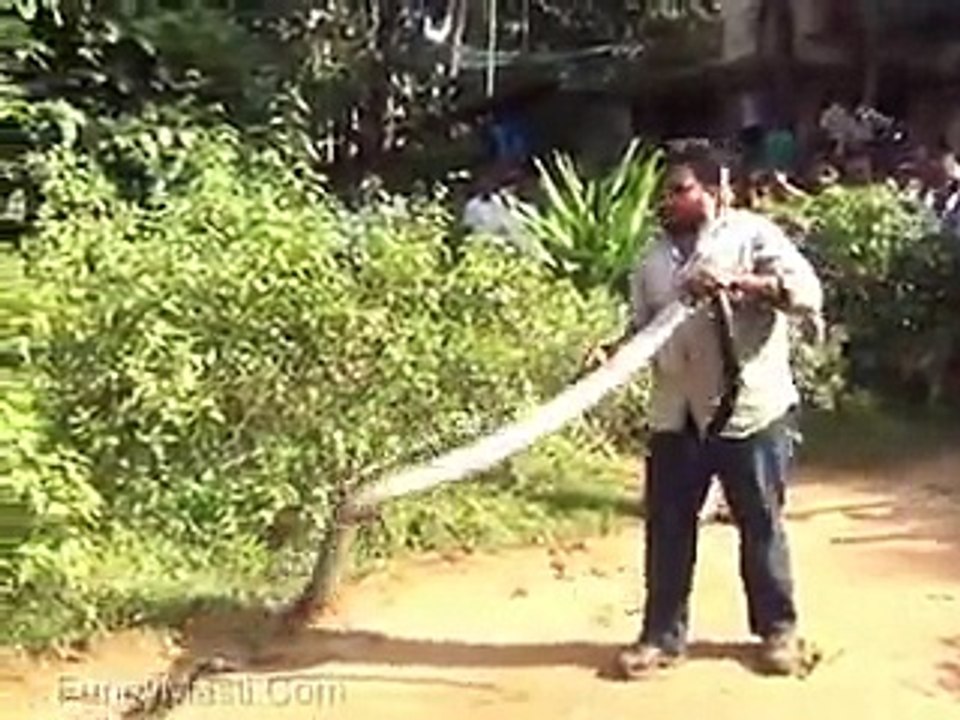 New Awesome Funny Video 2016-Fustastic Funny Video