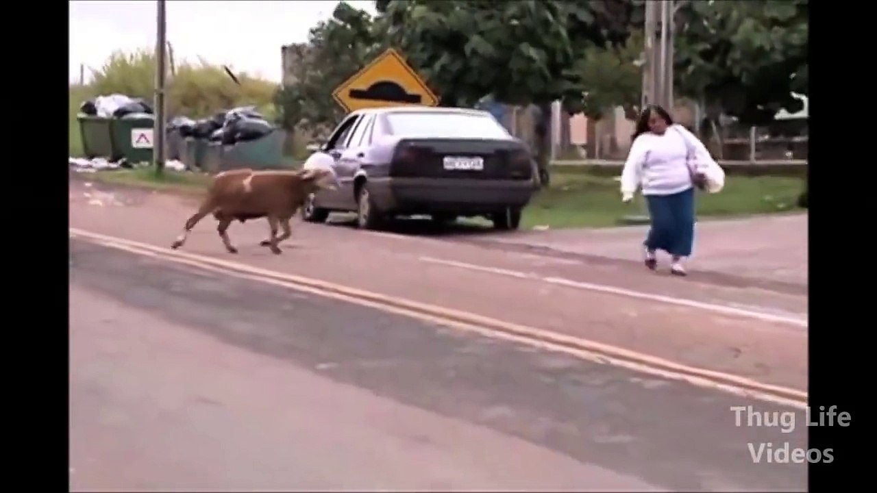 New Awesome Funny Video 2016-Fustastic Funny Video