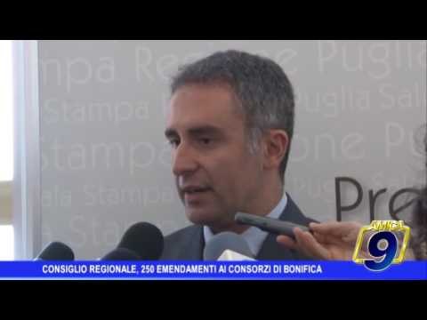 Consiglio regionale, 250 emedamenti alla legge sui consorzi di bonifica