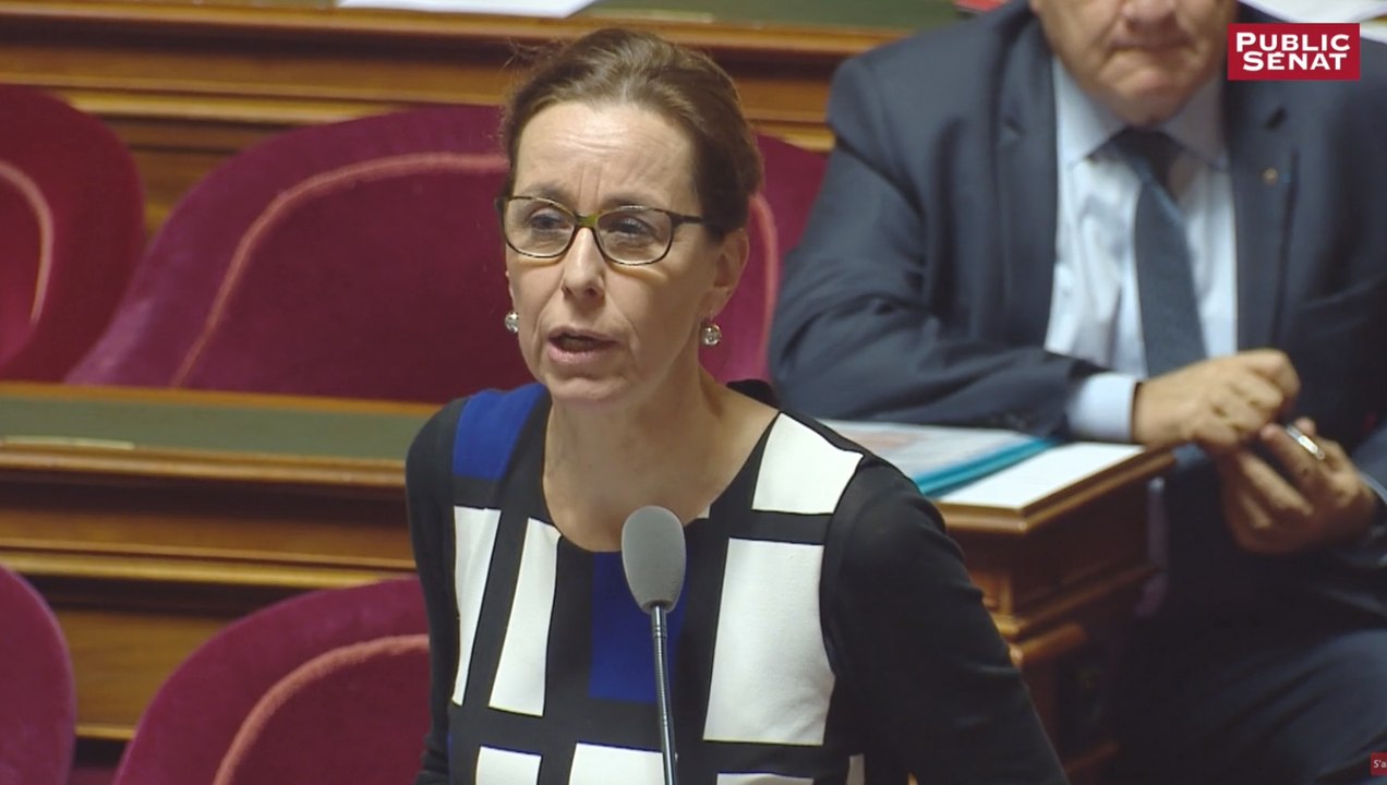 IVG - "Je voterai le délit d'entrave numérique à l'IVG" : Fabienne Keller