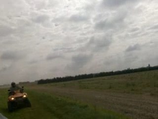 lowo et la grenouille ...