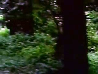 나가월드카지노す／／ ＧＭ５５４。COM  ／／で고스톱배우기