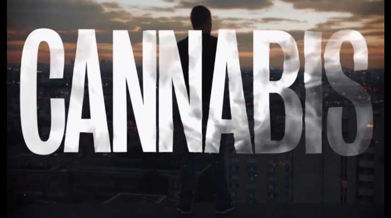"Cannabis" sur Arte : good trip ou bad trip ?