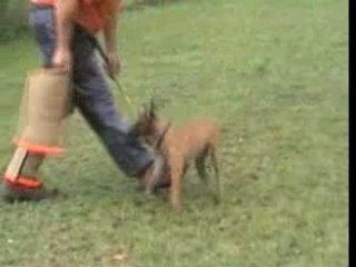 Be Aware Antiterror-Schutz-19.08.2007