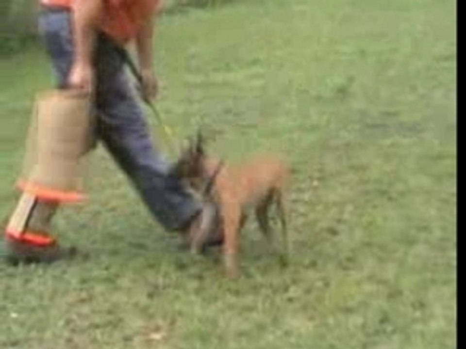 Be Aware Antiterror-Schutz-19.08.2007