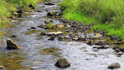 Eau et changement climatique dans le bassin Adour-Garonne