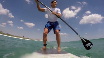 Homme en paddle qui se fait attaquer par un requin !