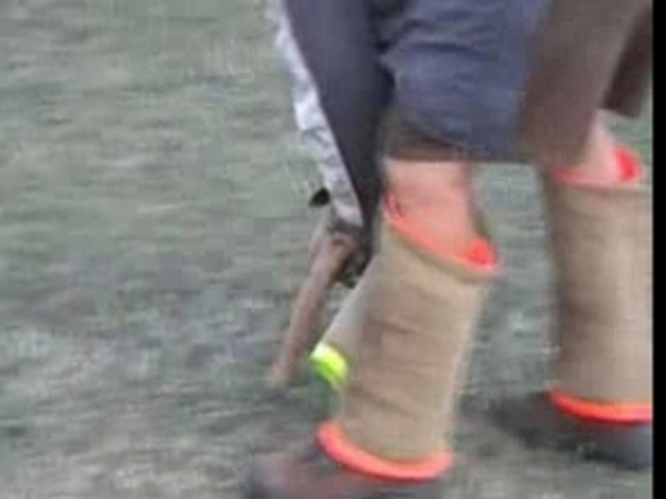 Be Aware Oggy-Schutz-19.08.2007