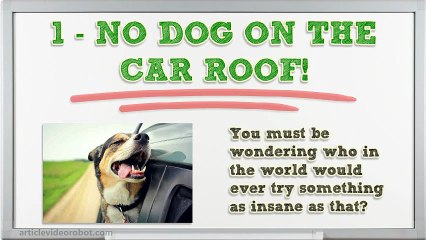 5 Dumb Laws in Alaska that will Make Your Jaws Drop