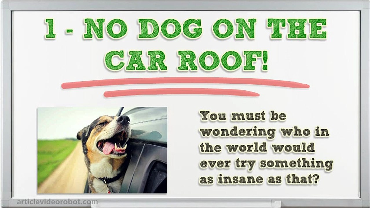 5 Dumb Laws in Alaska that will Make Your Jaws Drop