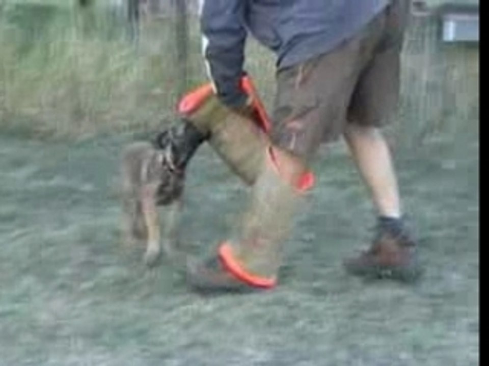 Be Aware Aeon-Schutz-19.08.2007