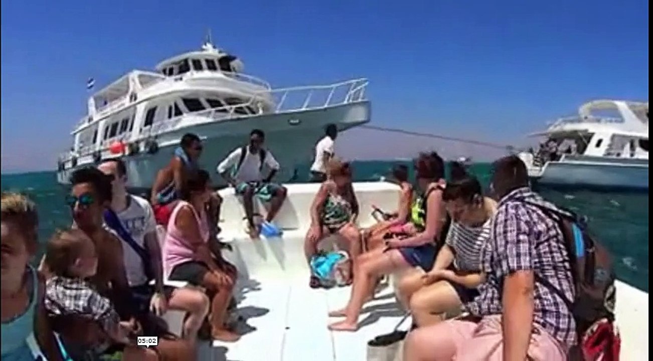 Red Sea Trips