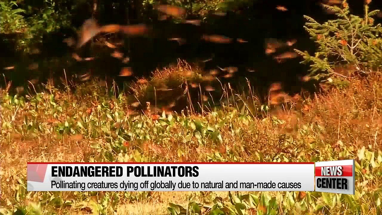 UN conference on biodiversity calls for stronger protection of ecosystems