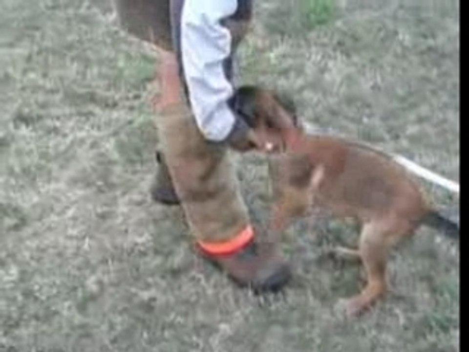 Be Aware Amee-Schutz-19.08.2007