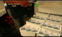 Napoli - vendita banconote falsificate sul deep web: 8 arresti