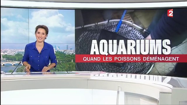 Aquariums : quand les poissons déménagent de Brest à Paris
