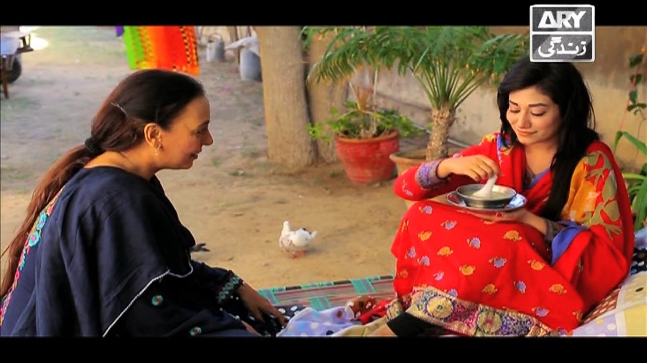 Khushaal Susraal Ep 133 - on Ary Zindagi in High Quality 8th December 2016