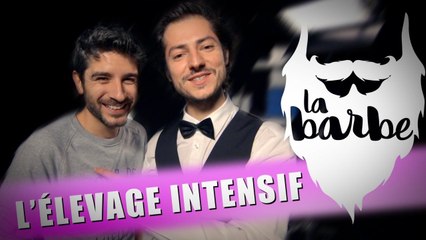 L'élevage intensif (La Barbe feat. Vérino)