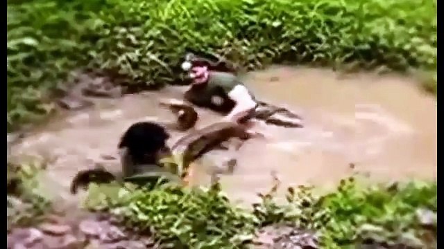 Most amazing wild animals attack Giant anaconda attacks Biggest python snake attacks human