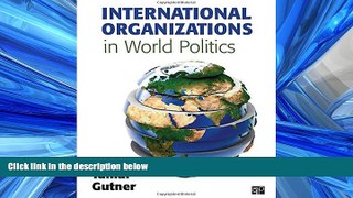 FAVORIT BOOK International Organizations in World Politics BOOK ONLINE
