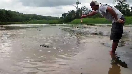 Man Almost Gets Attacked By Crocodile (As seen on Tosh.O, Yahoo News, CBS News)  This is my video.