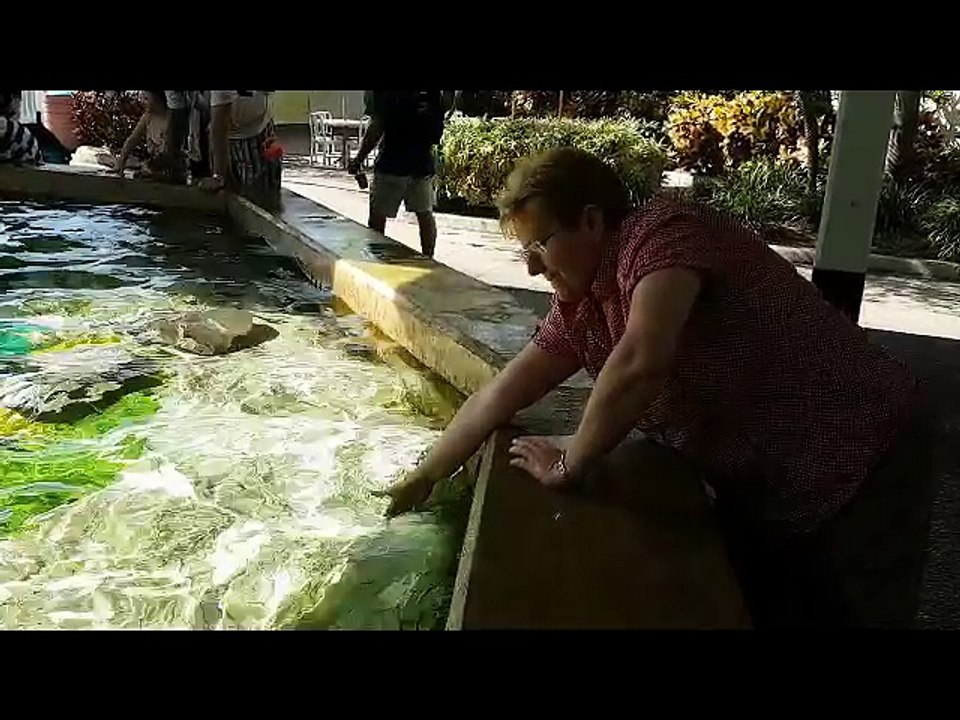 Urlaub in USA 2016 11