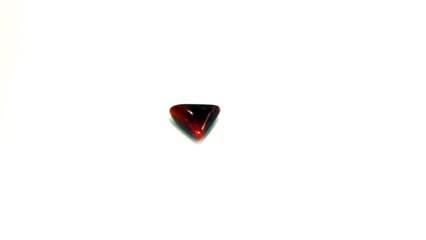 B19 N Red Coral Moonga 3.22 Carat |+91 022 24157317