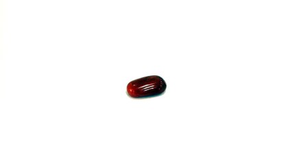 B22 N Red Coral Moonga 3.60 Carat | +91-9769207984
