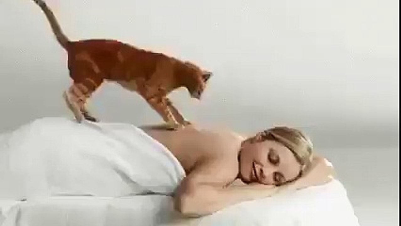 Кот массажист! Все хотят такого кота! Даже я!!!