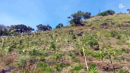 View from Chokra Mudi , Baisonvalley , Munnar , Idukki District, Kerala