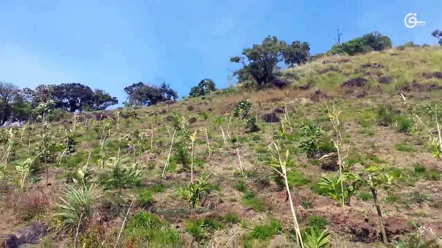 View from Chokra Mudi , Baisonvalley , Munnar , Idukki District, Kerala