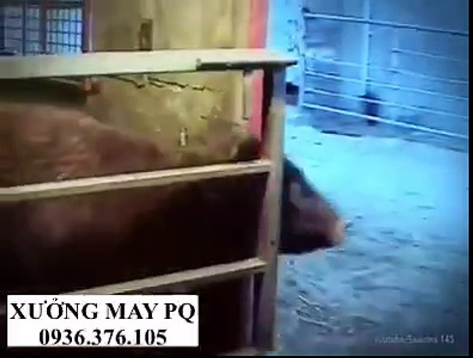 TRÙM CHUYÊN SỈ THỜI TRANG NỮ HOTGIRL 0936376105