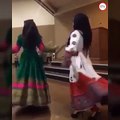 New Afghan Wedding Song and Mast Dance خواندن و رقص مست افغانی
