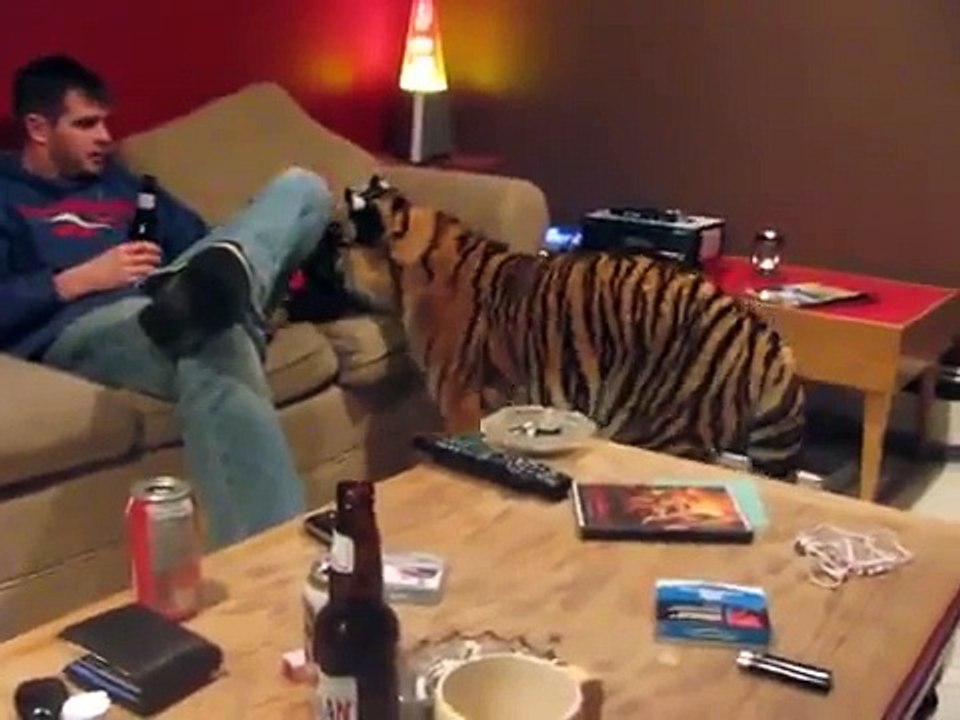 Evde Kaplan Beslemek