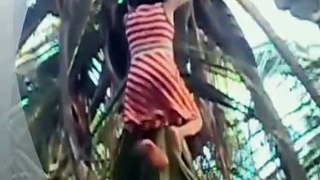 WhatsApp funny Videos - Funny Videos Try not to grin or Laugh