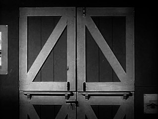 Mister Ed S5e7 Animal Jury