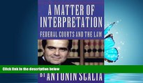 FAVORIT BOOK A Matter of Interpretation: Federal Courts and the Law (The University Center for