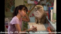 Una vita da gatto guarda film completo italiano Streaming