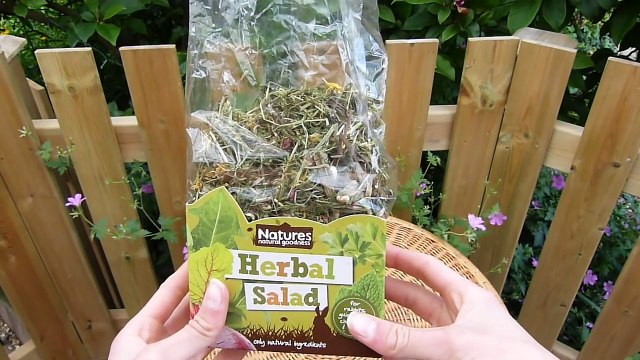 A Healthy Gerbil Diet What I Feed My Gerbils