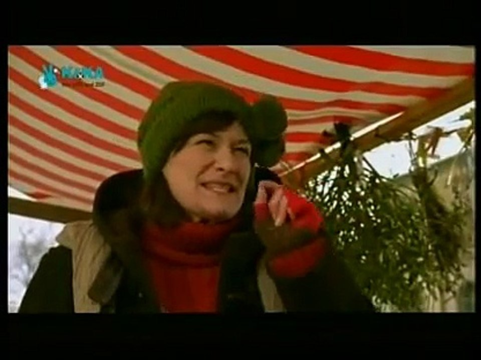 Beutolomäus und die vergessene Weihnacht Folge 8