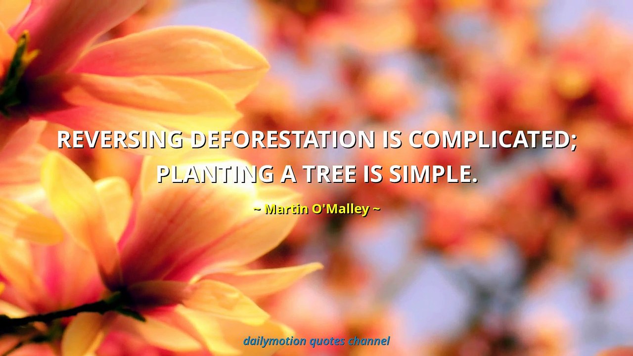 Martin O'Malley Quotes #4