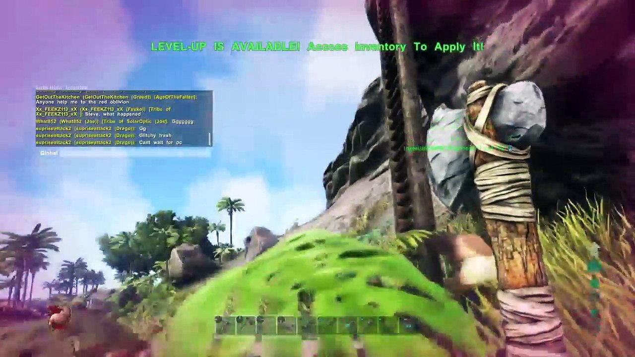 Ark (16)