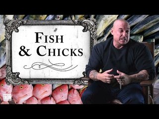 Fish & Chicks | Storytime With Gregg Valentino