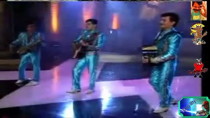 Los Tigres Del Norte Pacas De A Kilo Video Exito Antaño