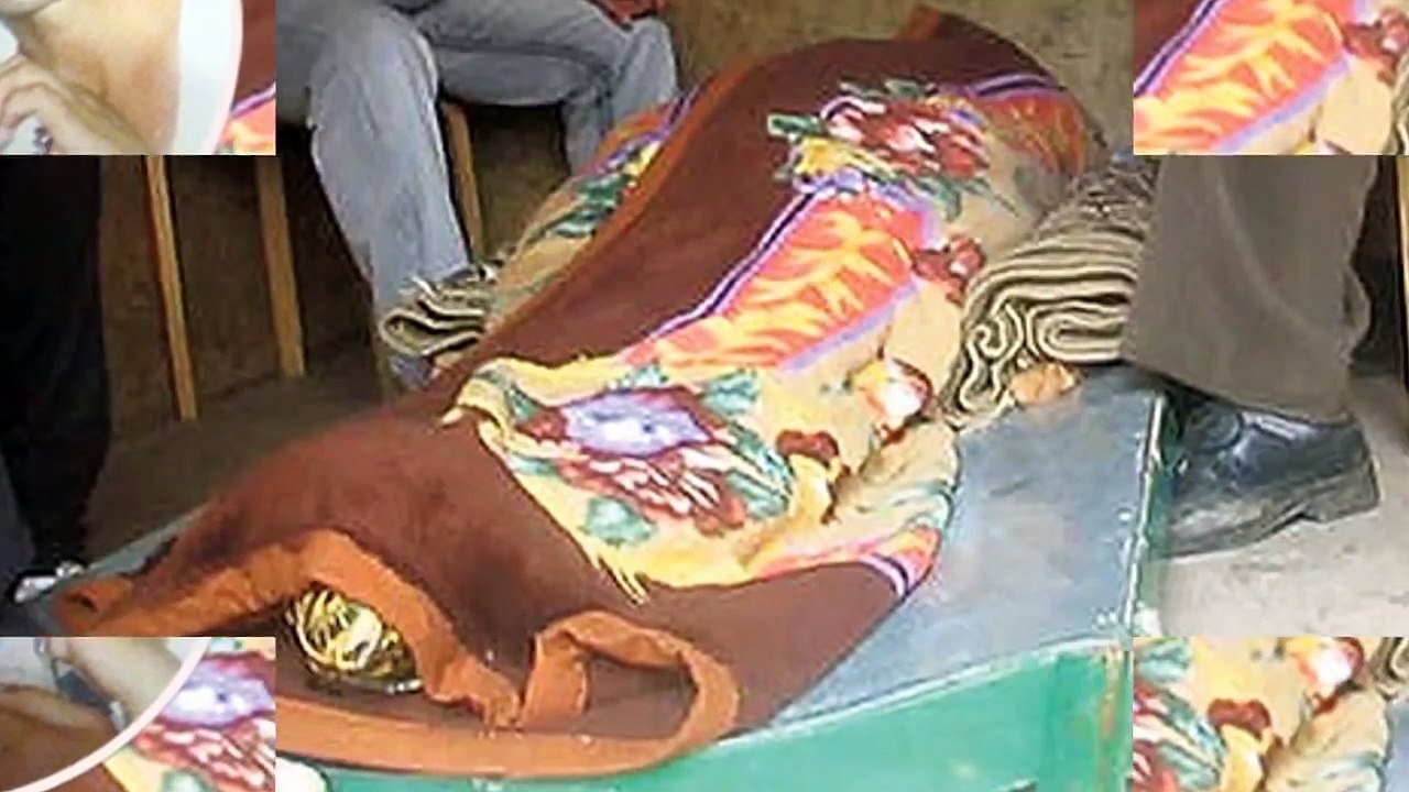 10 People Who Died And Came Back To Life