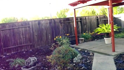 iPad Mini Drop Test & Durability Video